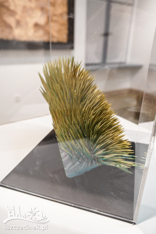 Wernisaż „W cieniu światła” – Galeria Zamek