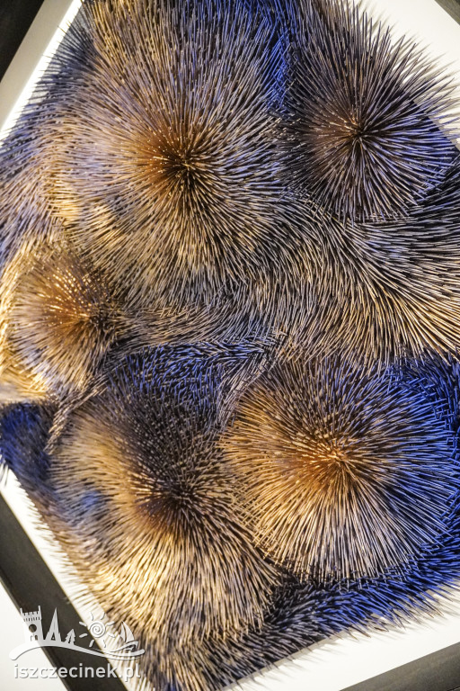 Wernisaż „W cieniu światła” – Galeria Zamek