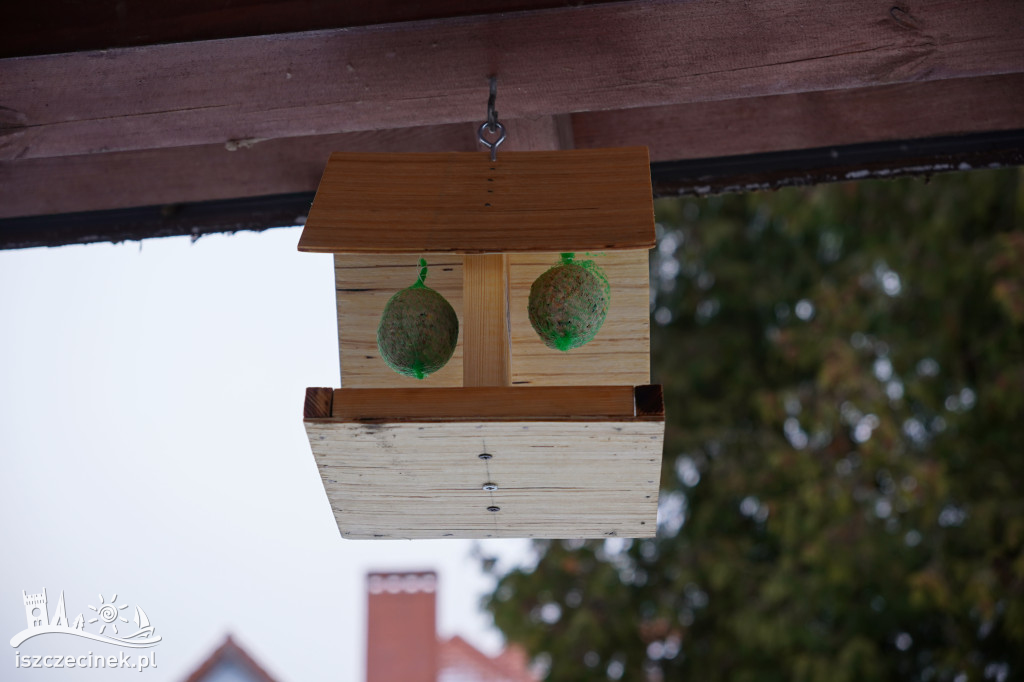Szczecinek: dzieci zbudowały karmniki dla ptaków