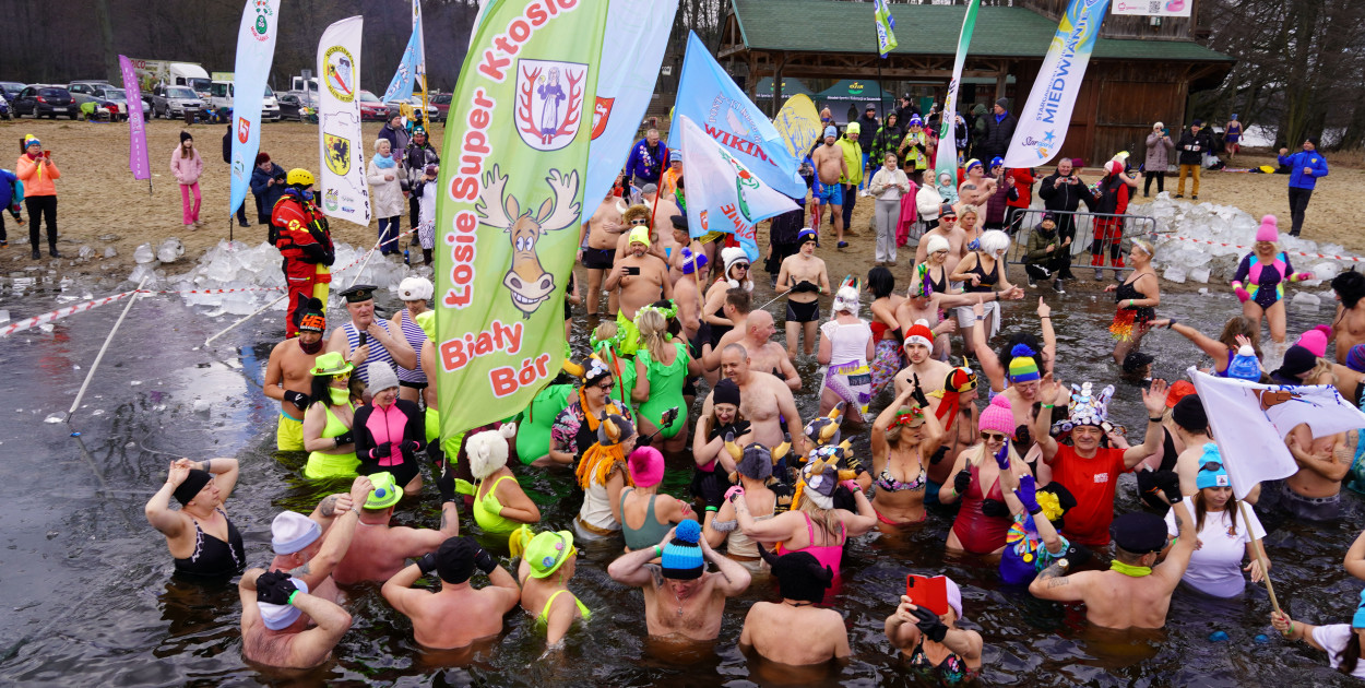 XI spotkanie morsów na Mysiej Wyspie – zdjęcia