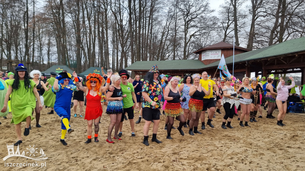 XI spotkanie morsów na Mysiej Wyspie – zdjęcia