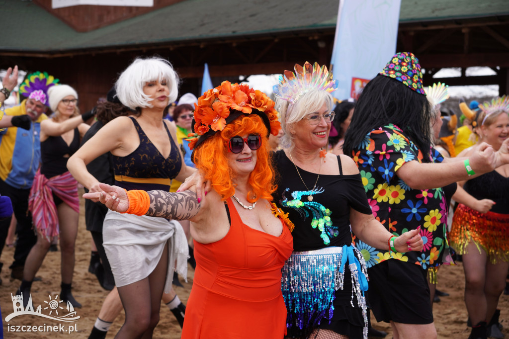 XI spotkanie morsów na Mysiej Wyspie – zdjęcia