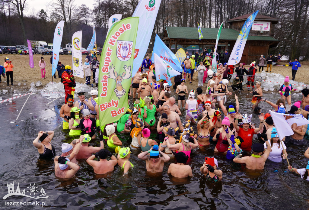 XI spotkanie morsów na Mysiej Wyspie – zdjęcia