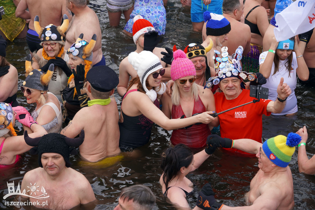 XI spotkanie morsów na Mysiej Wyspie – zdjęcia