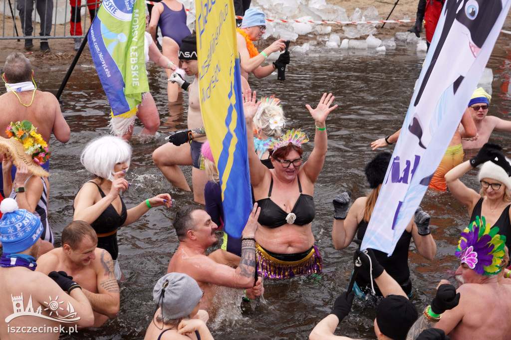 XI spotkanie morsów na Mysiej Wyspie – zdjęcia