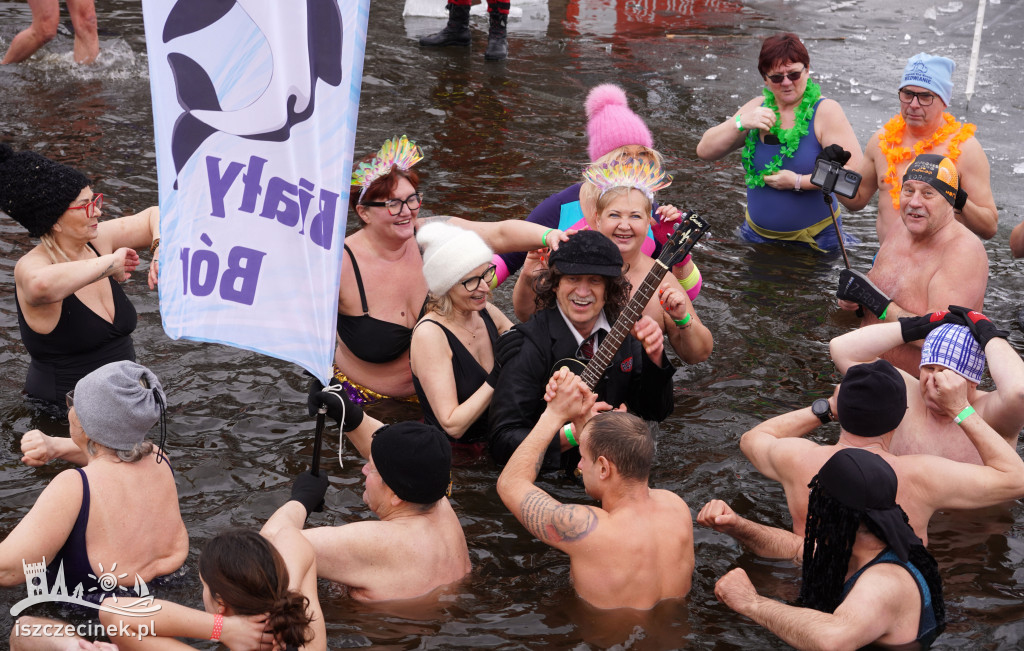 XI spotkanie morsów na Mysiej Wyspie – zdjęcia