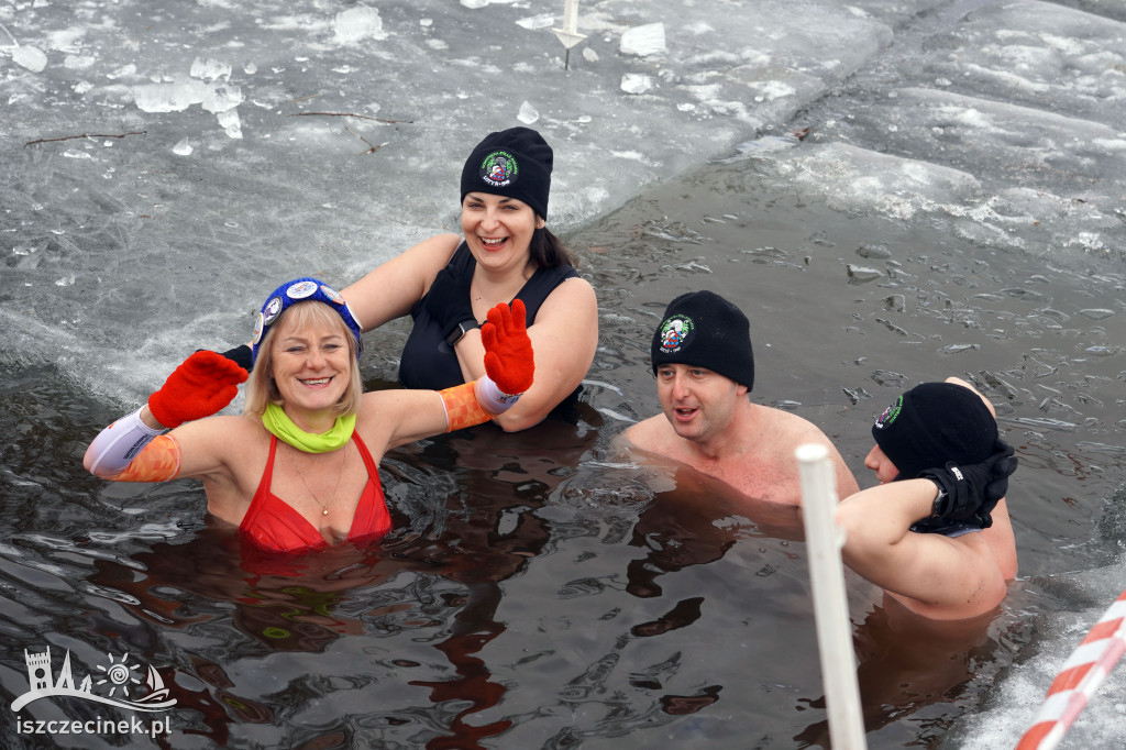 XI spotkanie morsów na Mysiej Wyspie – zdjęcia