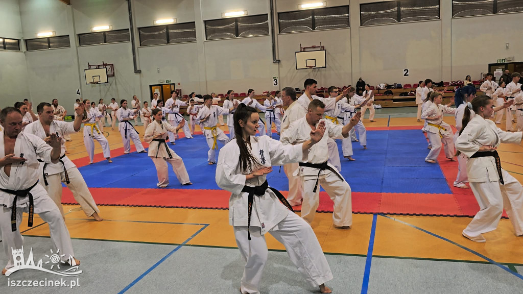Zgrupowanie Karate Kyokushin w Szczecinku