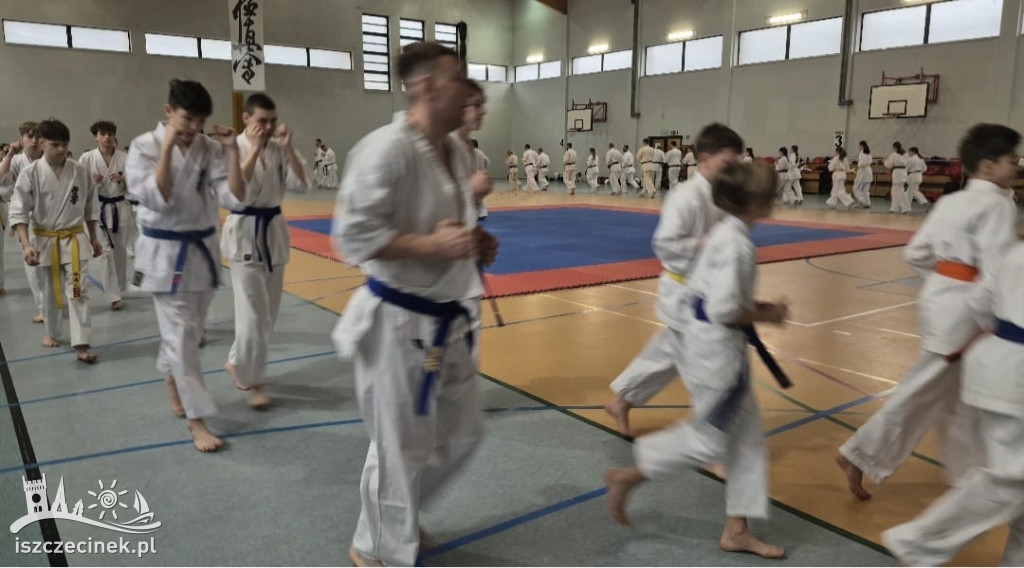 Zgrupowanie Karate Kyokushin w Szczecinku