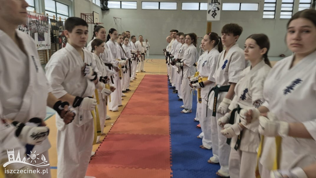 Zgrupowanie Karate Kyokushin w Szczecinku