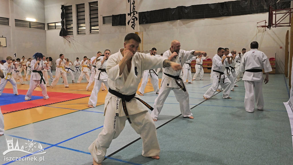 Zgrupowanie Karate Kyokushin w Szczecinku