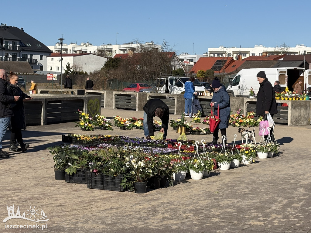 Tak wygląda dziś rynek w Szczecinku