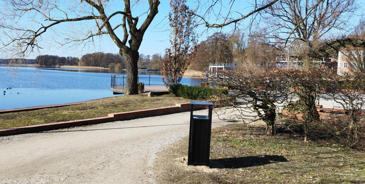 Wiosenne zmiany w parku