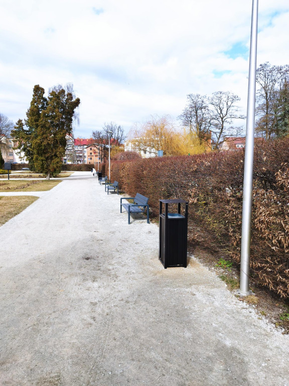 Wiosenne zmiany w parku