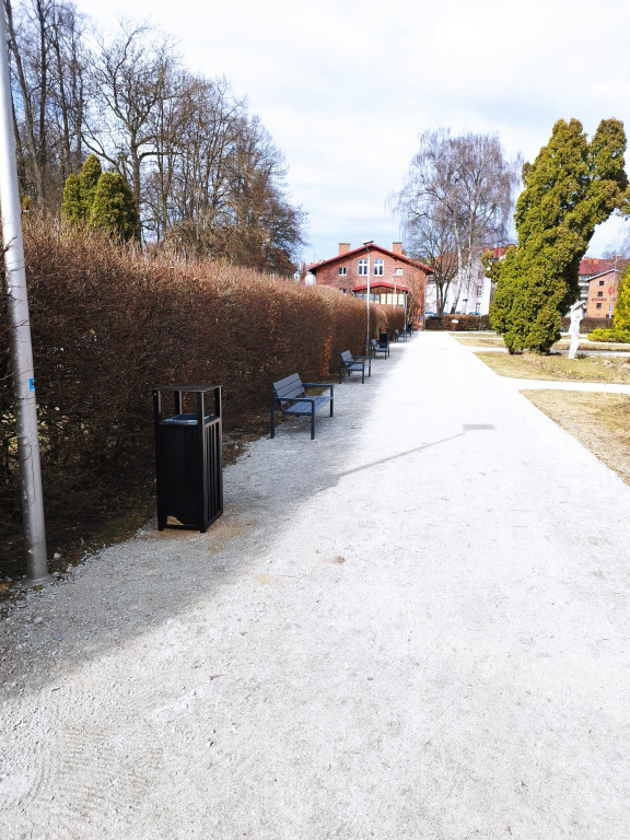 Wiosenne zmiany w parku