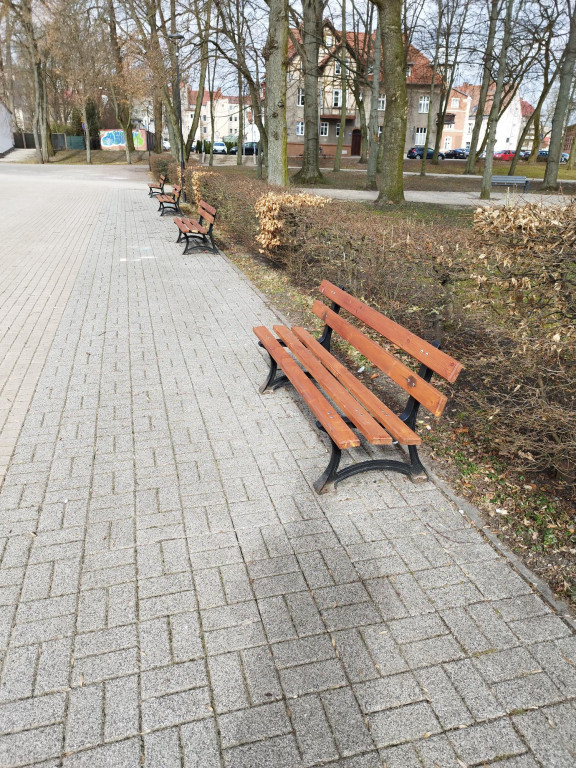 Wiosenne zmiany w parku