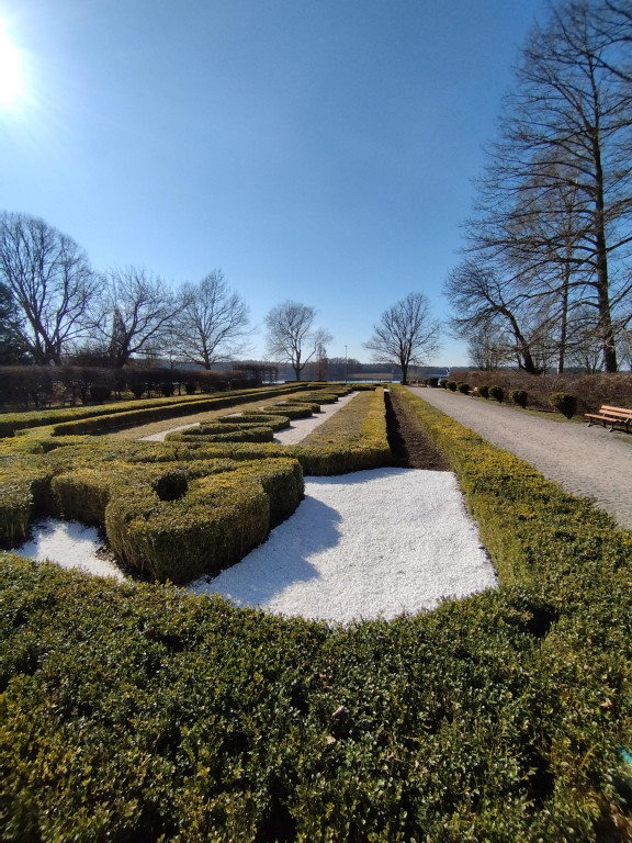 Wiosenne zmiany w parku