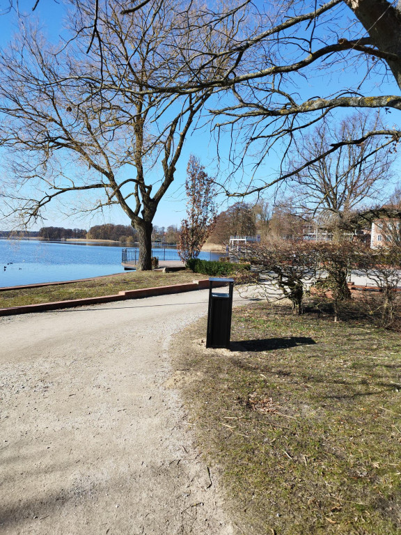 Wiosenne zmiany w parku