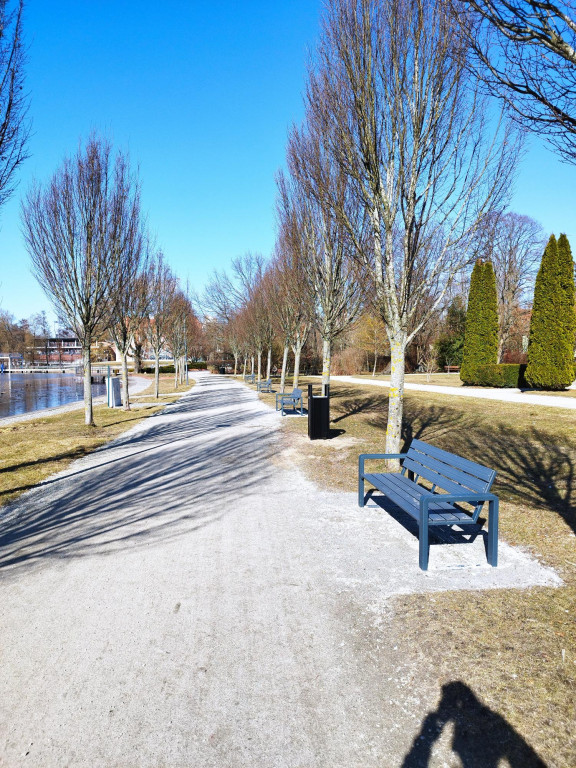 Wiosenne zmiany w parku