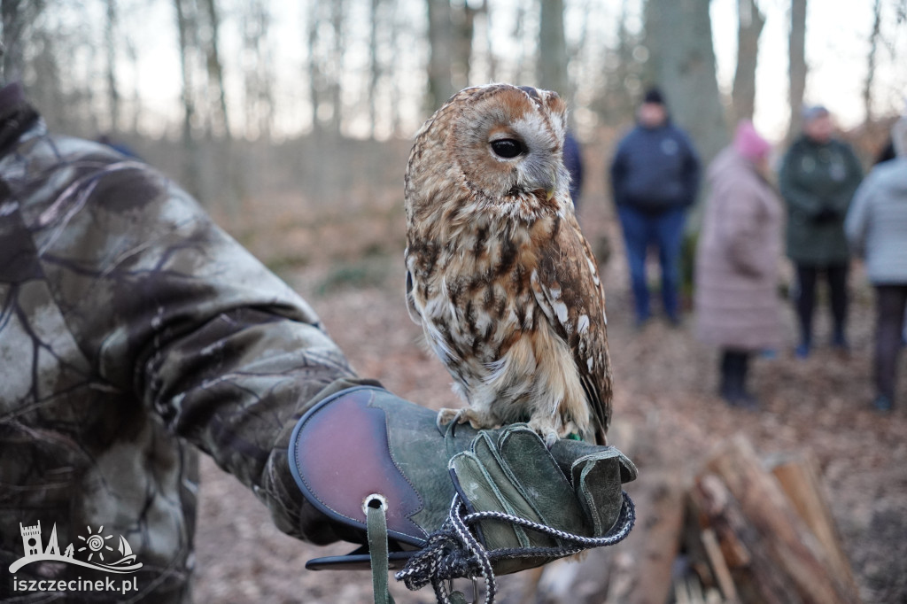 Sowy z bliska i nocny spacer – fotorelacja