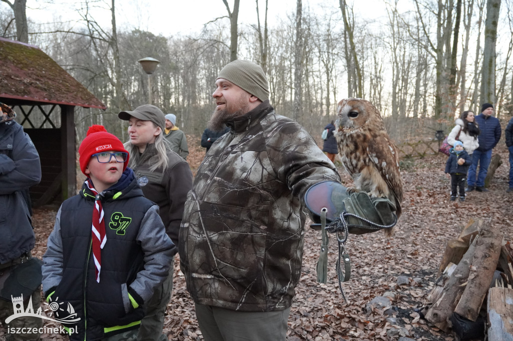 Sowy z bliska i nocny spacer – fotorelacja