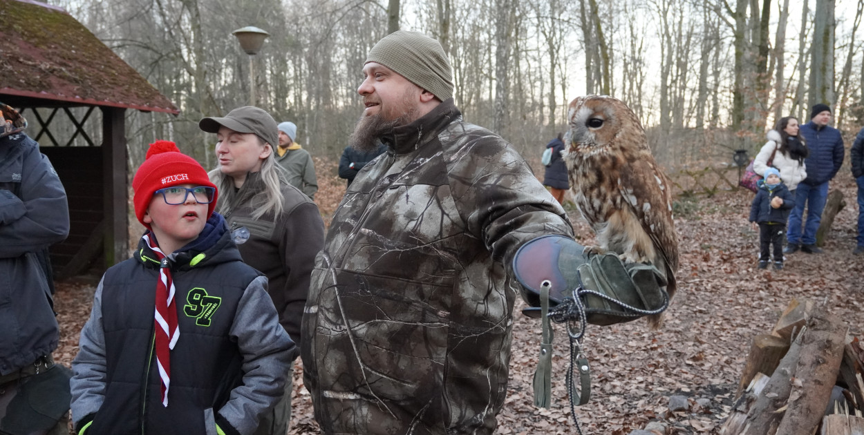 Sowy z bliska i nocny spacer – fotorelacja