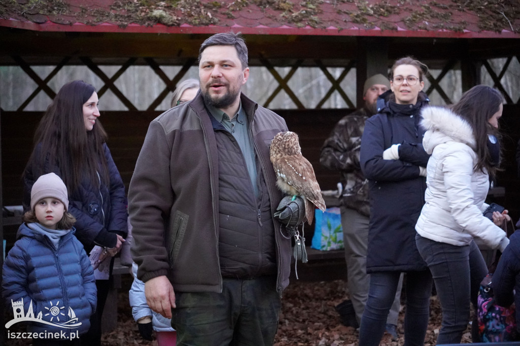 Sowy z bliska i nocny spacer – fotorelacja