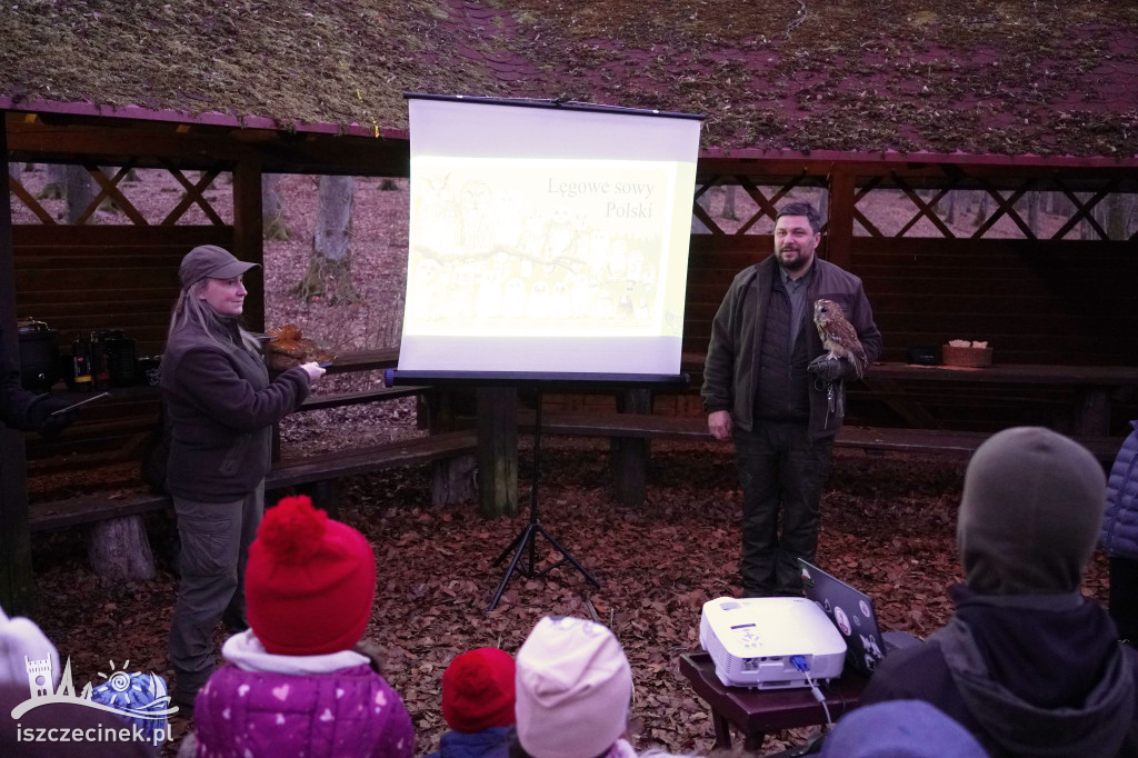 Sowy z bliska i nocny spacer – fotorelacja