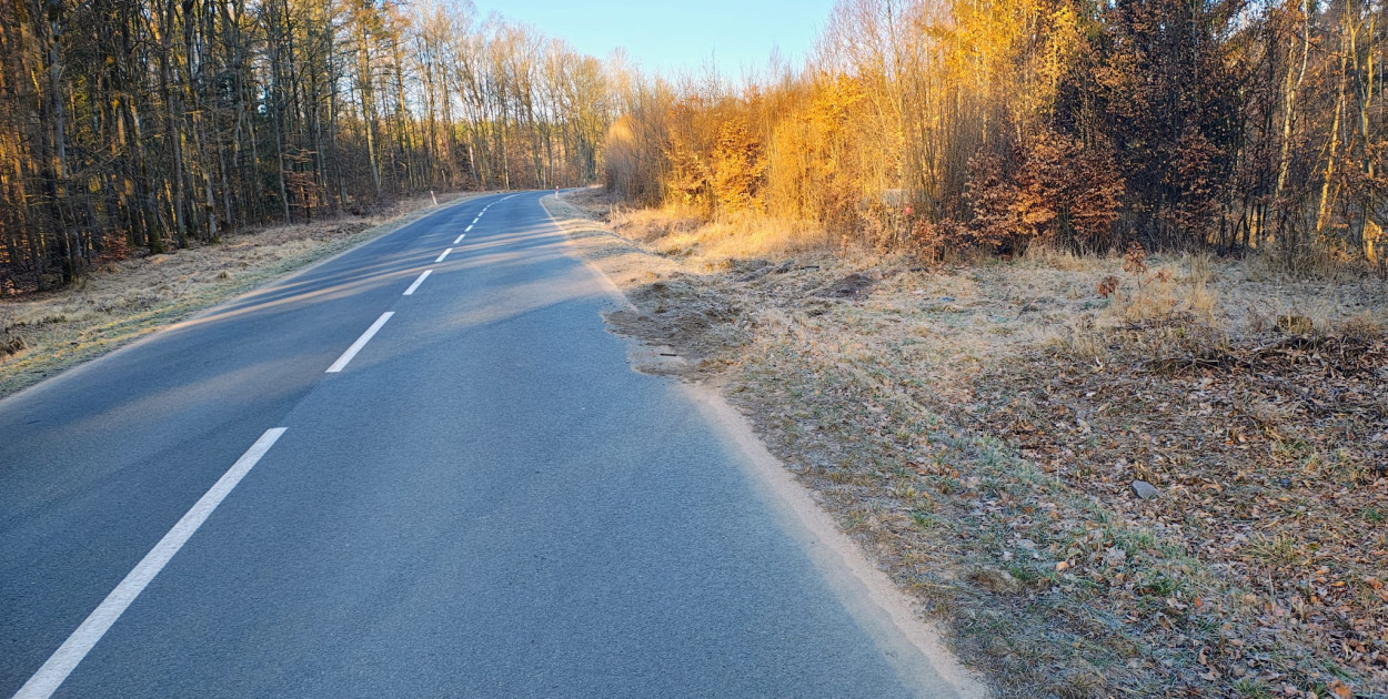 Rozbity Passat w lesie pod Szczecinkiem