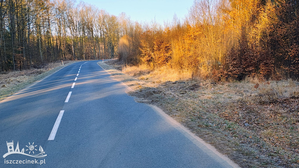 Rozbity Passat w lesie pod Szczecinkiem