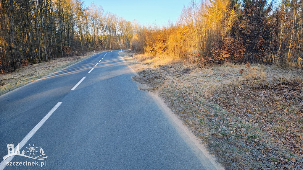 Rozbity Passat w lesie pod Szczecinkiem