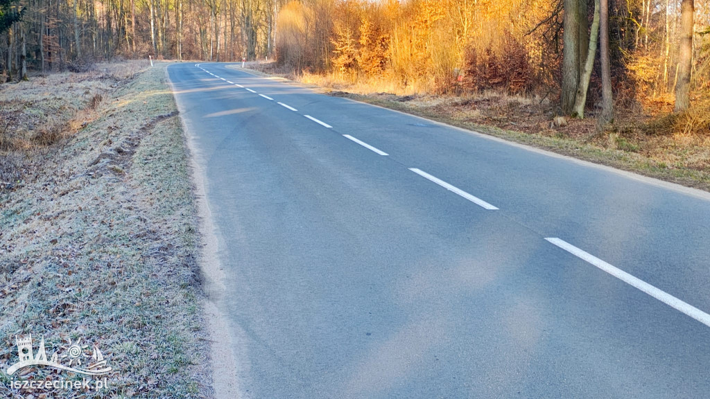 Rozbity Passat w lesie pod Szczecinkiem