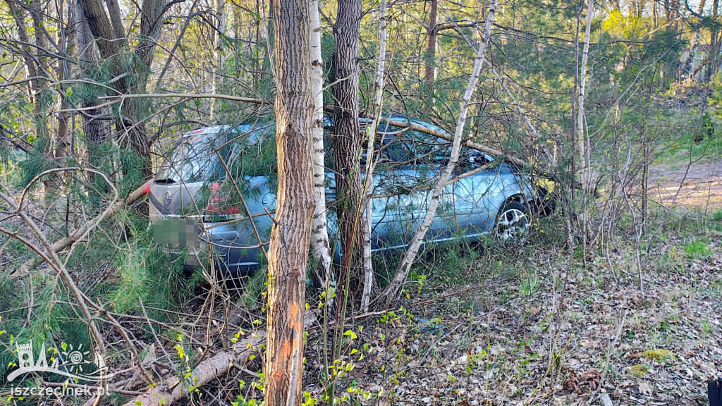 BIAŁY BÓR. Policyjna akcja na DK20