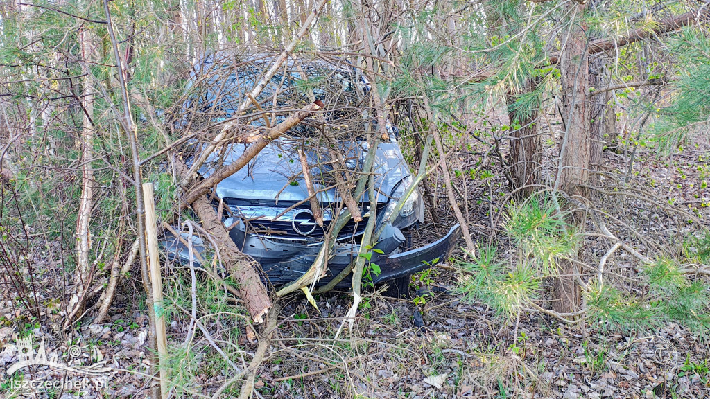 BIAŁY BÓR. Policyjna akcja na DK20