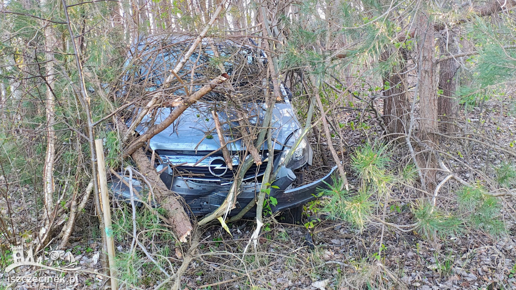 BIAŁY BÓR. Policyjna akcja na DK20