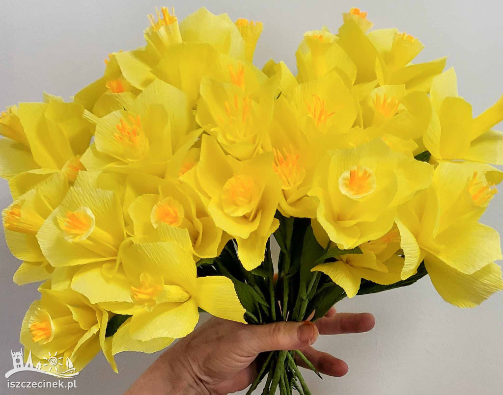 Pola Nadziei w Szczecinku 2026