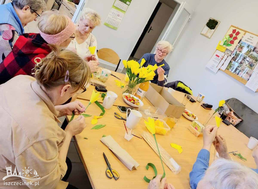 Pola Nadziei w Szczecinku 2026