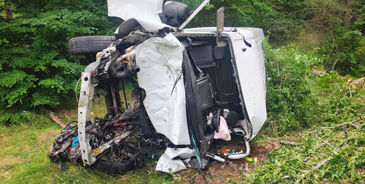Bus zderzył się z Buggy i uderzył w drzewo.