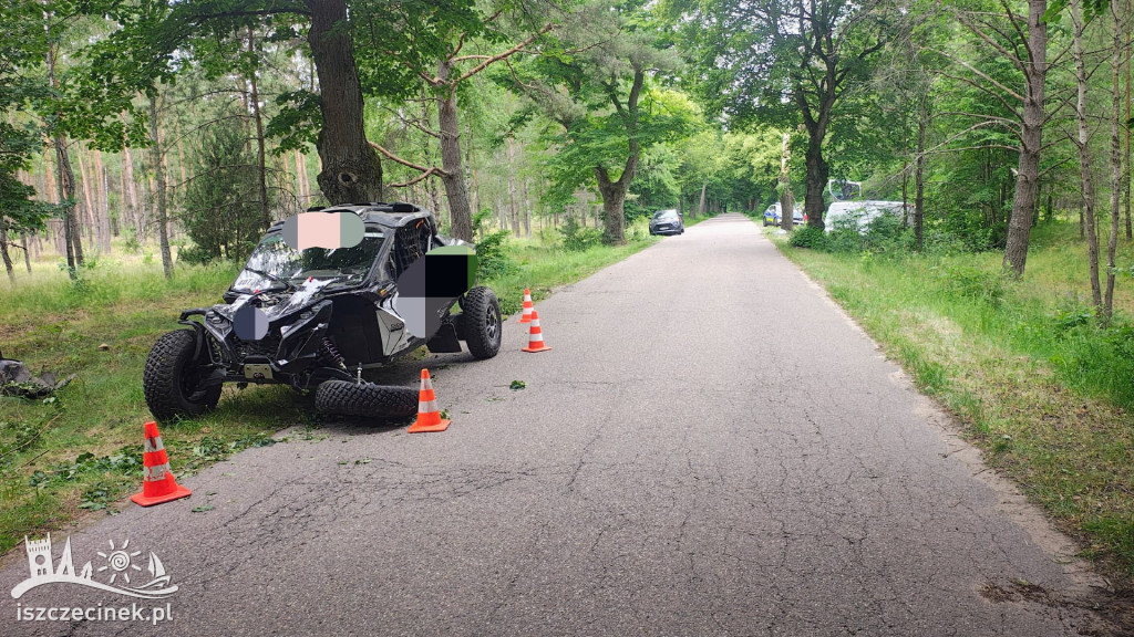 Bus zderzył się z Buggy i uderzył w drzewo.