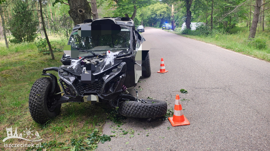 Bus zderzył się z Buggy i uderzył w drzewo.