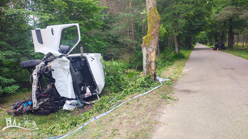 Bus zderzył się z Buggy i uderzył w drzewo.