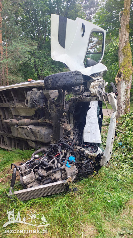 Bus zderzył się z Buggy i uderzył w drzewo.