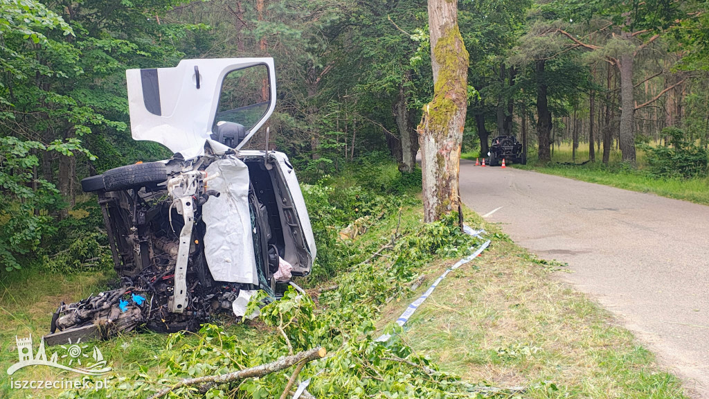 Bus zderzył się z Buggy i uderzył w drzewo.