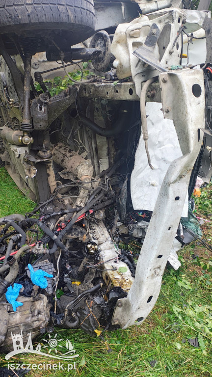 Bus zderzył się z Buggy i uderzył w drzewo.