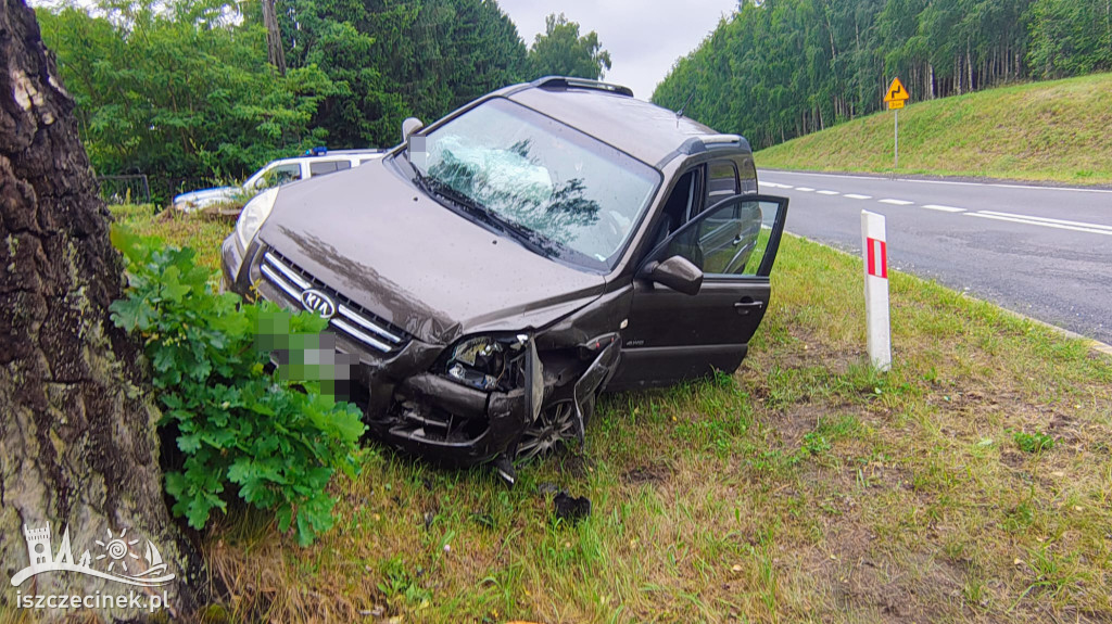 Kia i Dacia zderzyły się na DK20