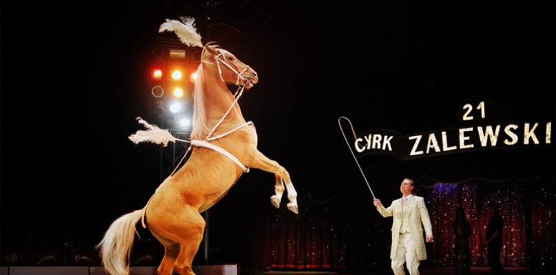 Cyrk Zalewski w Szczecinku! Rozdajemy wejściówki!