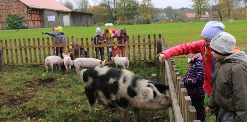 fot. Juchowo Farm