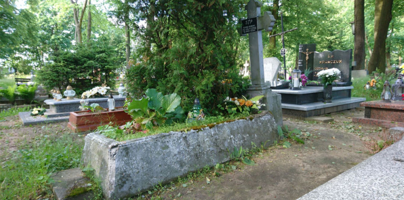 fot. Dariusz Trawiński