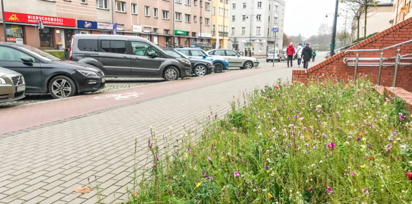 fot. iszczecinek.pl