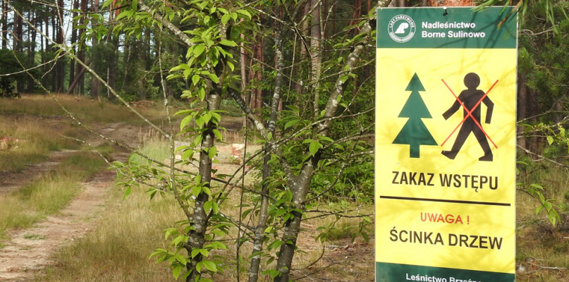 Jedziesz na Pol’and’Rock Festival? W lesie nie przenocujesz!
